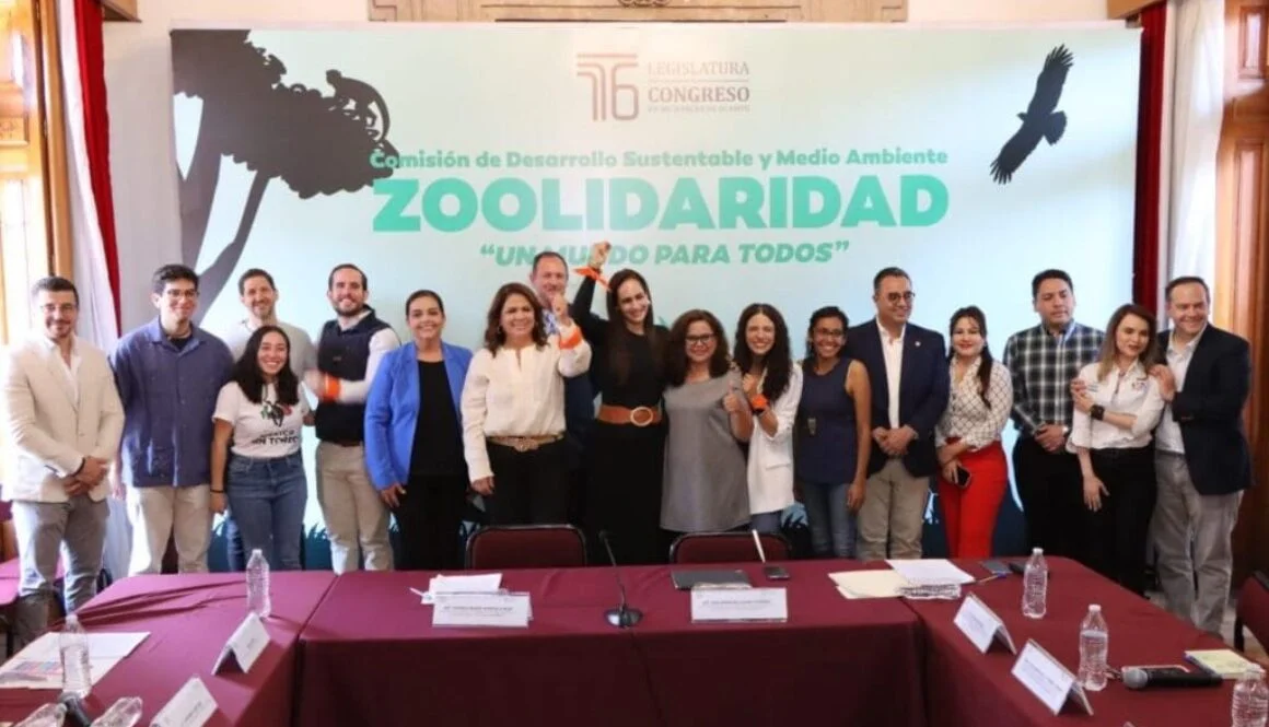 WhatsApp-Image-2025-04-01-at-5.46.16-PM-1024x682-1160x665